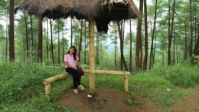 Photos of Gunung Besek
