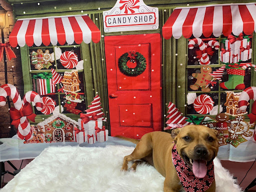 Woof Gang Bakery & Grooming Lake Mary - Thumbnail