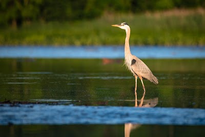 Elk River Park Boat Launch