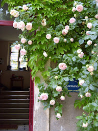 Photo n°26 de Le Domaine de Pomone à Buxières-sous-les-Côtes (Hébergement d'intérieur)