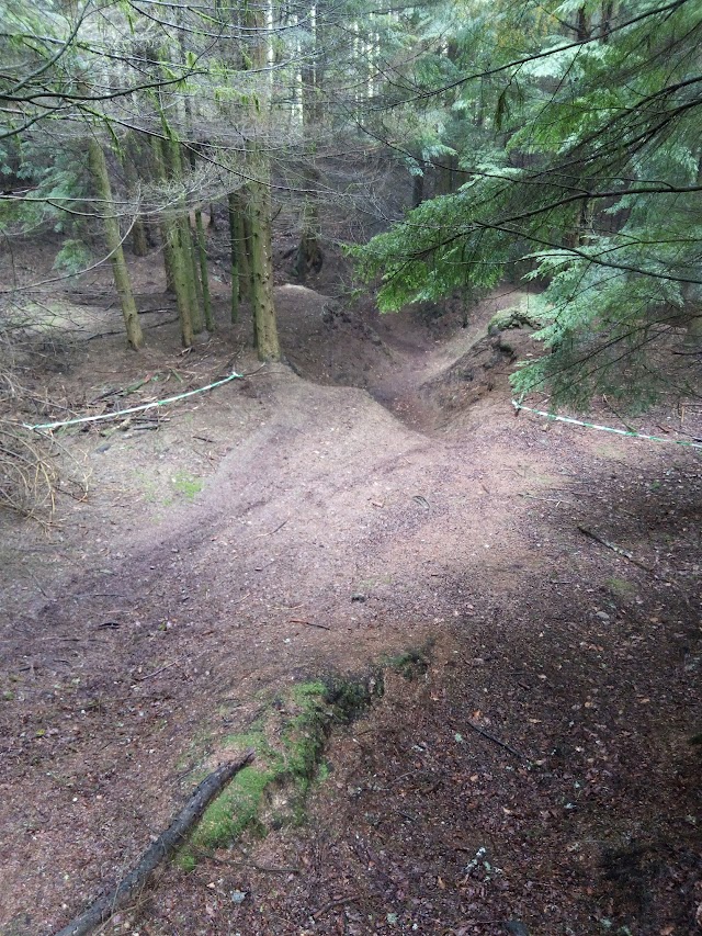 Singletracks Bike Park