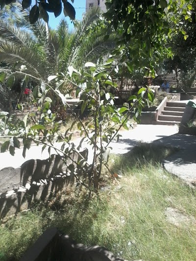 park