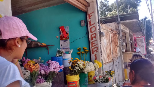 Florería liver - Thumbnail
