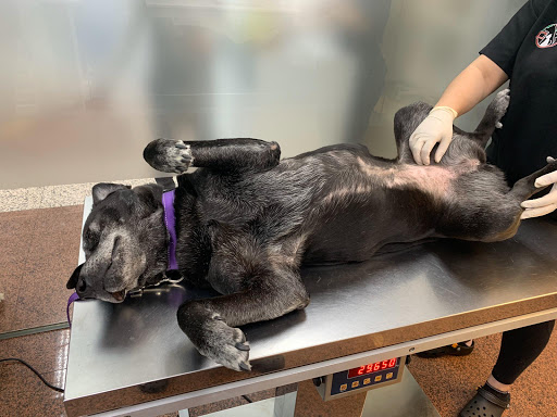 Centro Veterinario Castilla