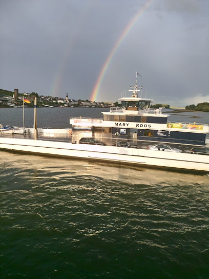 Autofähre Bingen - Rüdesheim