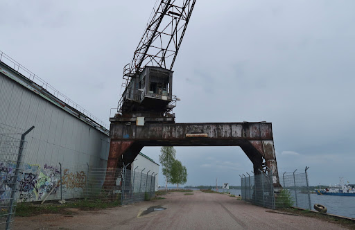 The Cranes