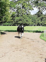 Photo n°2 de Ferme de Kervéhennec à Erdeven (Ferme d'élevage)
