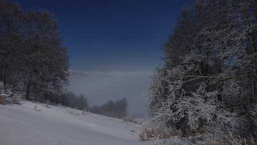 Fonte del Vescovo - Thumbnail