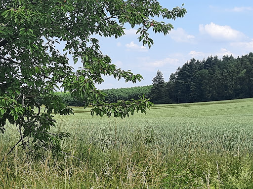 Wernershöhe Gallery - Germany