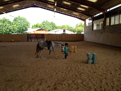 Stud Du Meix - Thumbnail