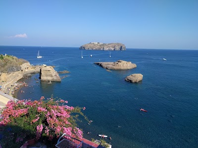 Photos of Hotel Villa Iulia