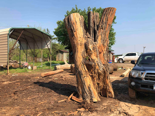 The Historic Phillips Forest Products Sawmill - The oldest family owned sawmill in Texas - Thumbnail