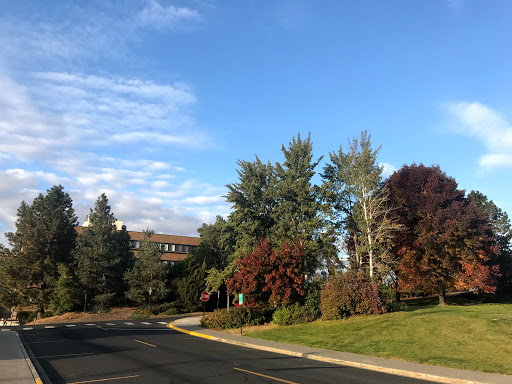 Hulbert Hall - Visual