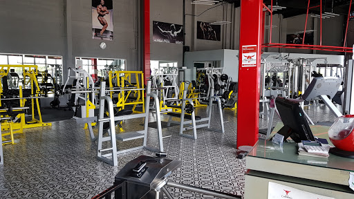 MC GYM By Team Charro - Thumbnail