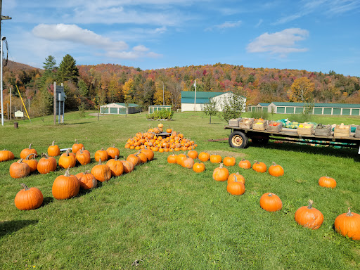 Slice of Earth Farmstand LLC - Thumbnail