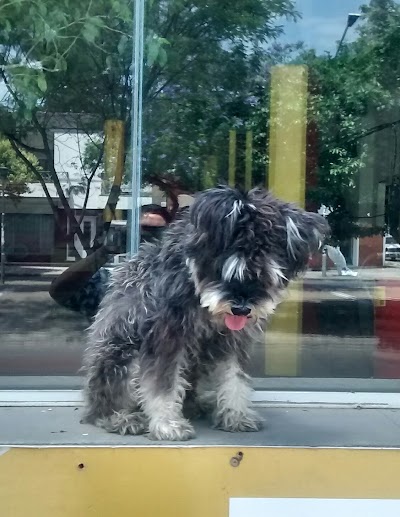 Photos of veterinaria "PERICLES"
