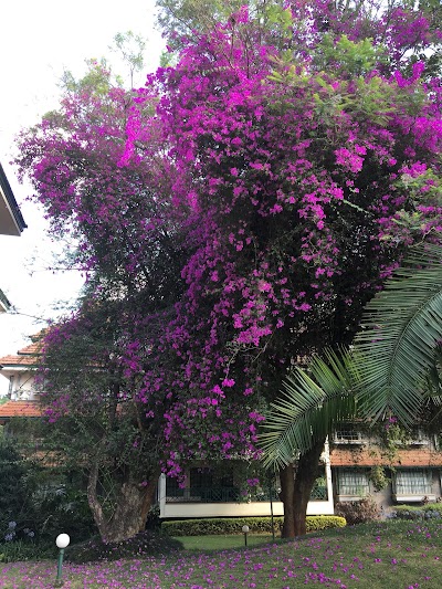 Photos of St. Austin's Gardens