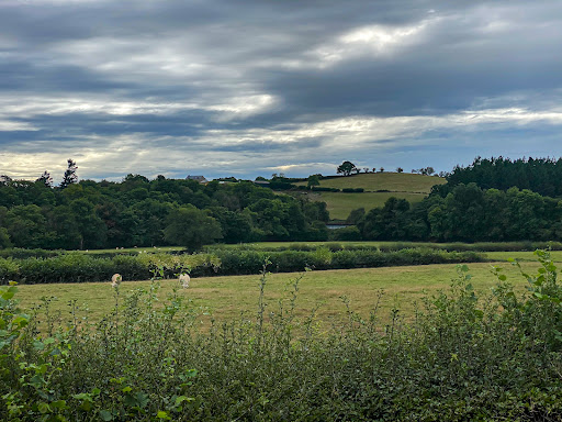 Court Farm Camping - Thumbnail