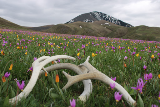 Broken Mountains Campground Gallery - United States