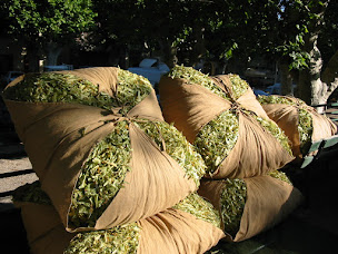 Photo n°15 de Village vacances Le Cloître des Dominicains à Buis-les-Baronnies (Village de vacances)