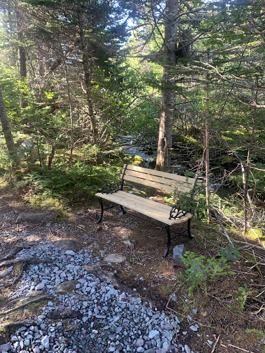 Backside Pond Park - Thumbnail