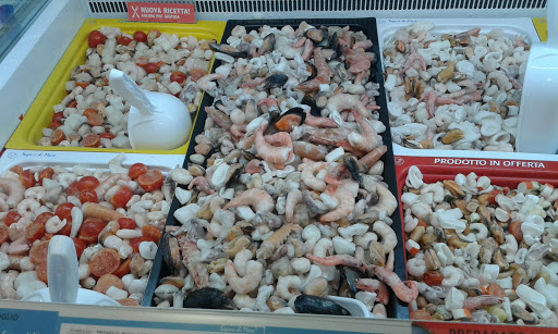 SAPOREDIMARE Bra - Thumbnail