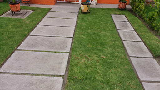 Mantenimiento de jardines - Thumbnail