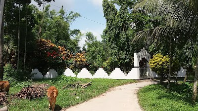 Photos of Kazi Bari Graveyard