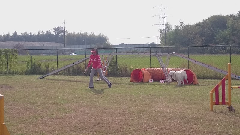 六甲ドッグスクール多目的サブグラウンド