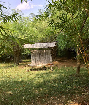 Auroville Bamboo Centre by null