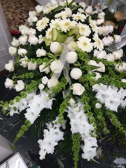 L'Alba Onoranze Funebri