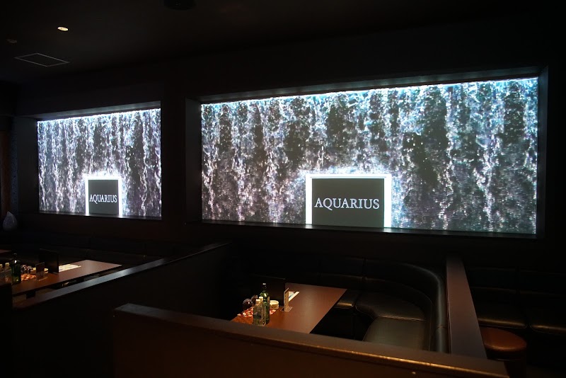 アクエリアス（AQUARIUS）