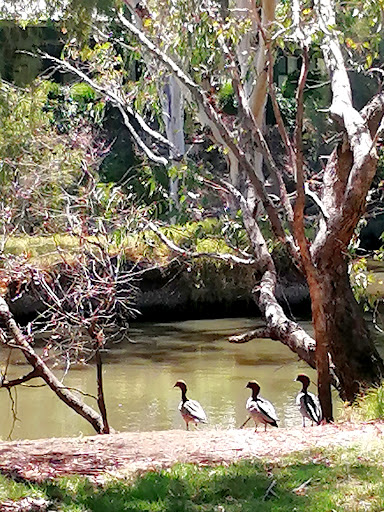 Aldinga St Reserve - Thumbnail