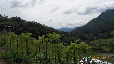 Photos of Poddalgoda Village