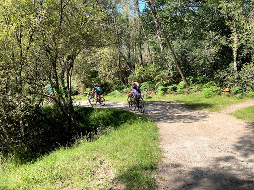Chamadelle vtt - Thumbnail