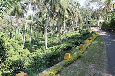Photos of Galaboda Group Tea Factory