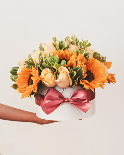 Florify - Visual