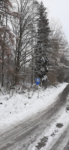 Aboretum Hartenfels - Thumbnail