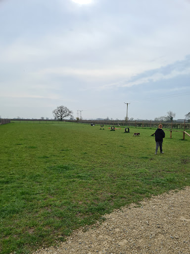 Pickering Dog Fields - Visual