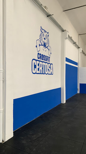 Crossfit Certosa by Tiger Gym - Thumbnail