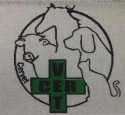 Clinica Veterinaria Cervet