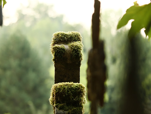 Cimetière de Blandy - Thumbnail