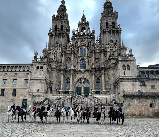 Caballos de Castilla - Ecuestur - Thumbnail