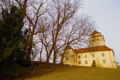 Photos of Ehrenhausen