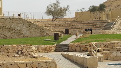 Photos of Field School of the Negev