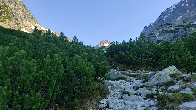 żółty, 059 85 Vysoké Tatry