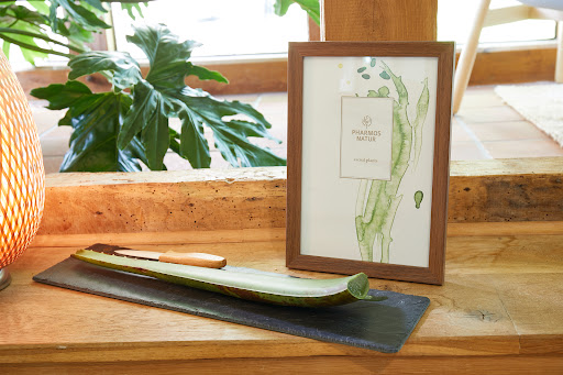 Soulbeauty Institut, Kosmetikstudio Bremen - Fischerhude - Thumbnail