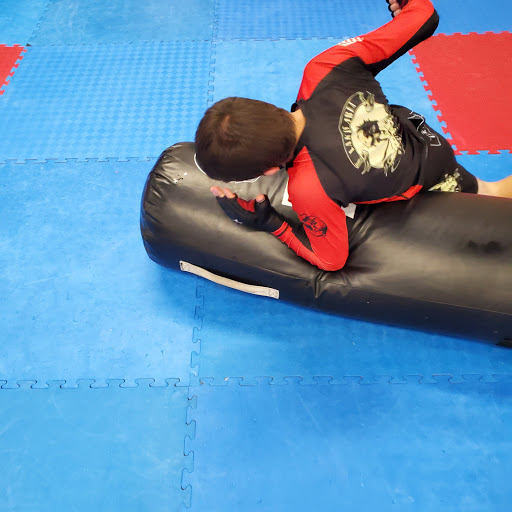 Detroit Lakes School Of Tae Kwon Do & Kumdo - Thumbnail