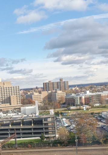 Montefiore Medical Center: Einstein Campus