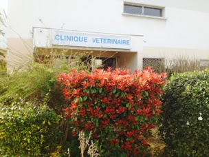 Photo n°1 de Clinique Vétérinaire de Trion à Lyon (Clinique vétérinaire)